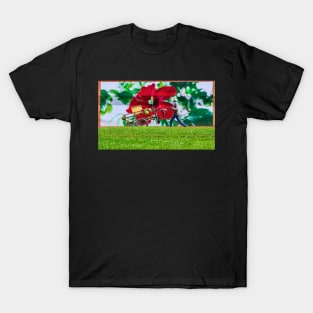 Coconuts. T-Shirt